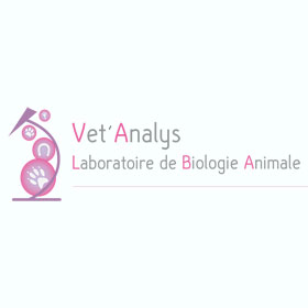 Vet'analys